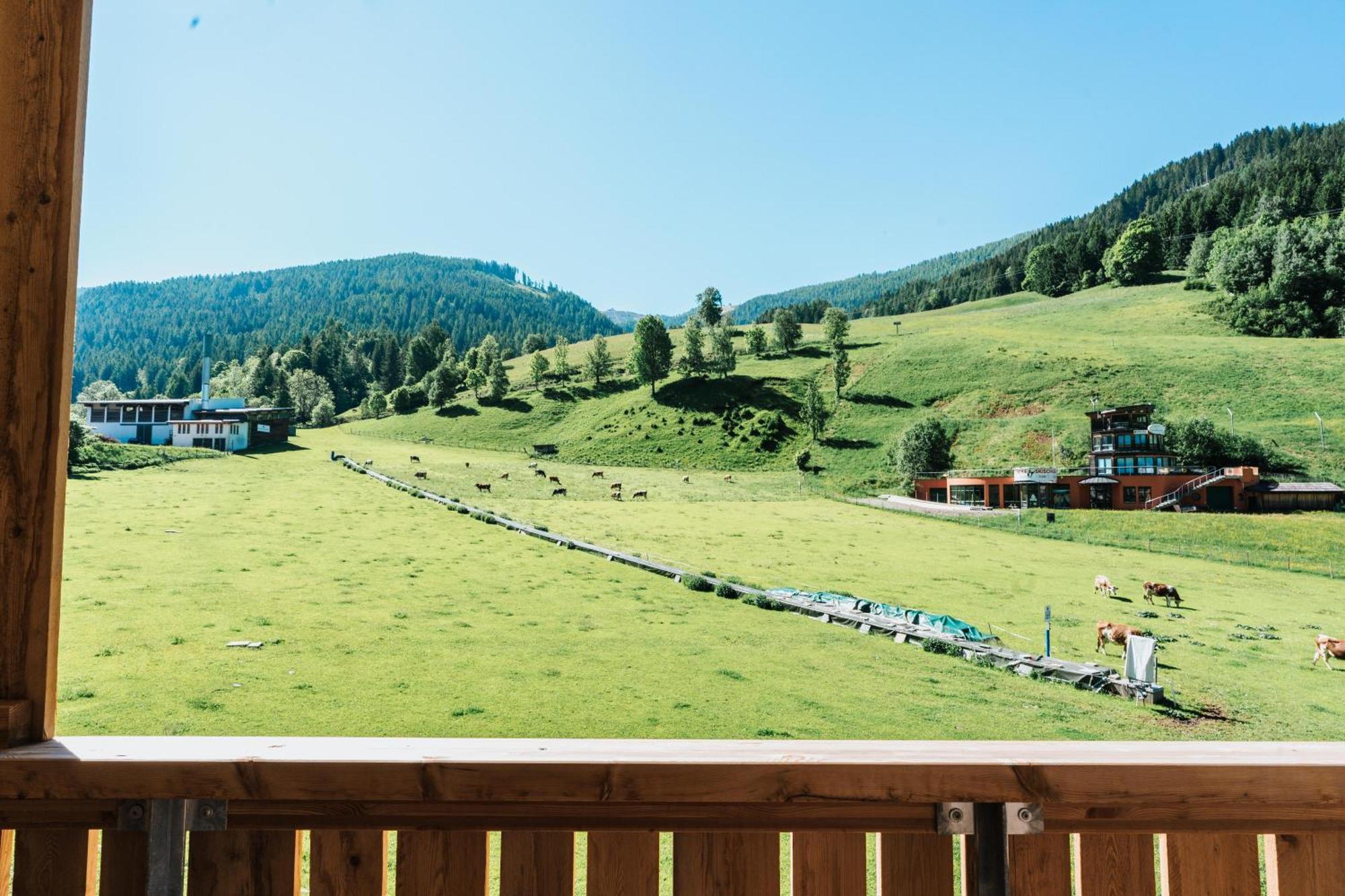Cooee Alpin Hotel 4*